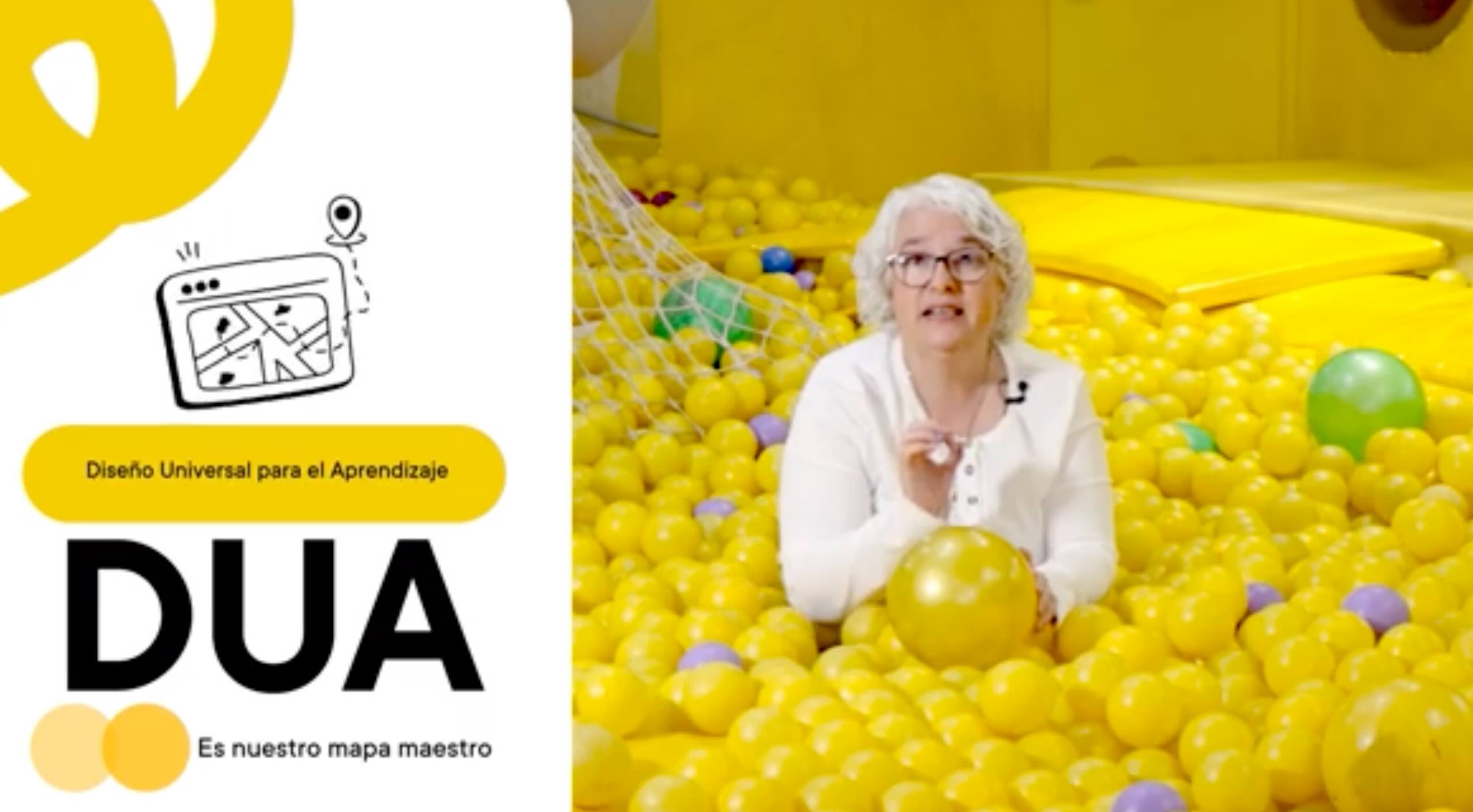 Banner PIAR: El arte de incluir, la ciencia de transformar  
